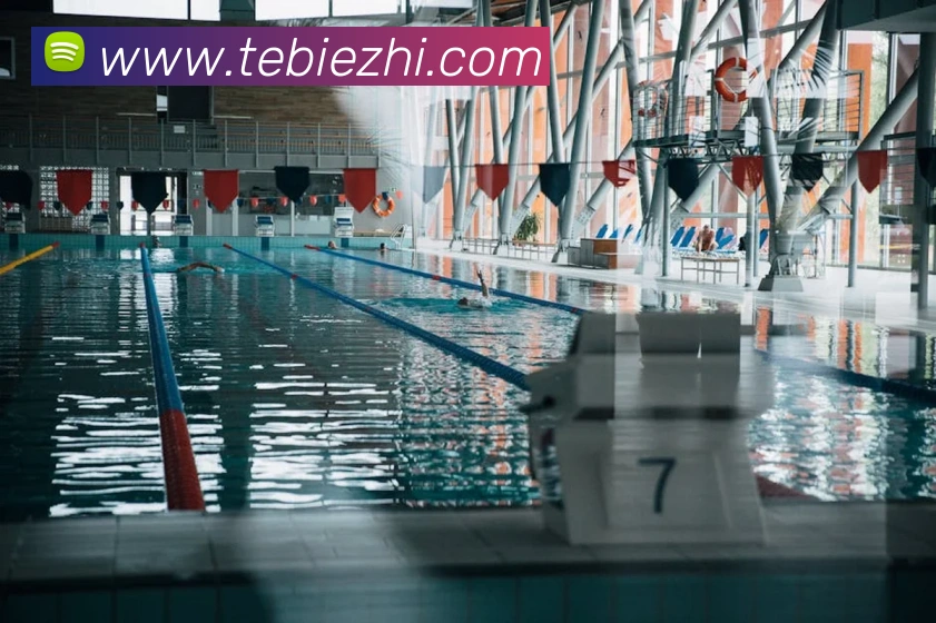 爱游戏ayx在线登录发展历程